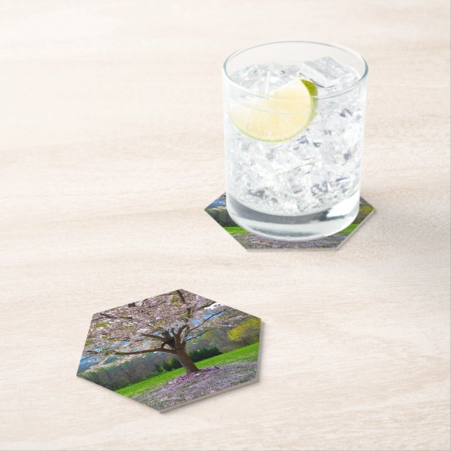 Dessous-de-verre En Papier Arbre fleuri rose cerisier avec bois (En situation)
