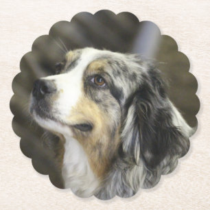 Dessous-de-verre En Papier Aussie