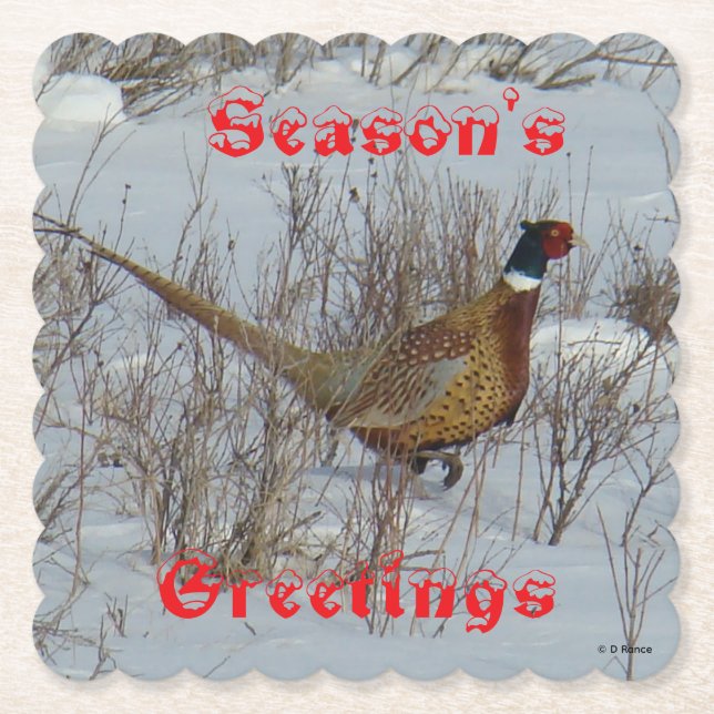Dessous-de-verre En Papier B23 Ring Necked Pheasant in Snow Coaster (Devant)