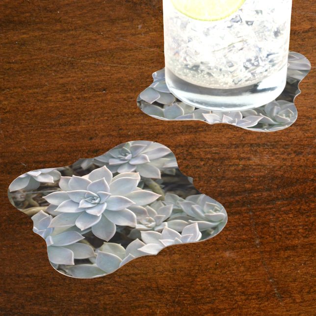 Dessous-de-verre En Papier Beaux succulents Botanique Photographie (Créateur téléchargé)