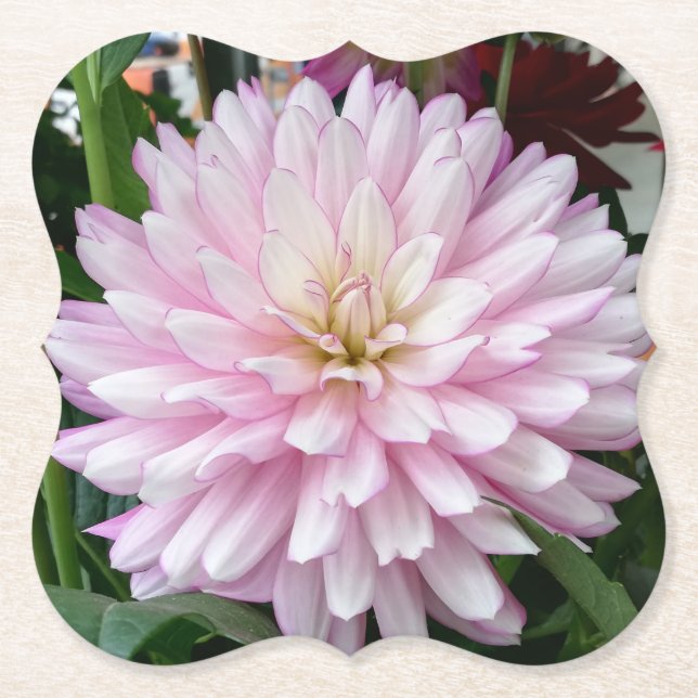 Dessous-de-verre En Papier Belle Fleur Dahlia Purple Clair (Devant)