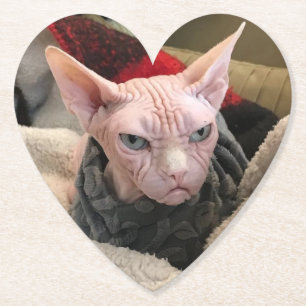 Dessous-de-verre En Papier Chat chauve - cadeau d'objet superflu