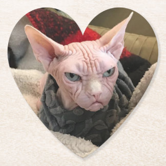 Dessous-de-verre En Papier Chat chauve - cadeau d'objet superflu