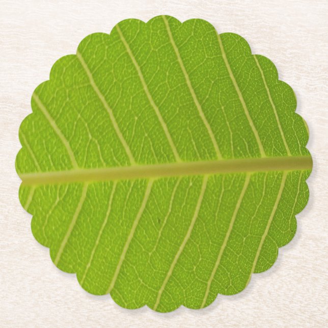 Dessous-de-verre En Papier Conception de la feuille verte naturelle et de la  (Devant)