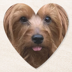 Dessous-de-verre En Papier Créez votre propre chien Photo personnalisée Chi