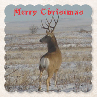 Dessous-de-verre En Papier D 20 Mule Deer Buck in Snow Coaster