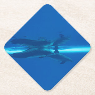 Dessous-de-verre En Papier Dauphins et réflexions