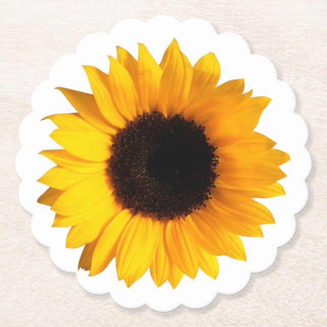 Dessous-de-verre En Papier Dessous de verre de papier de tournesol (Devant)
