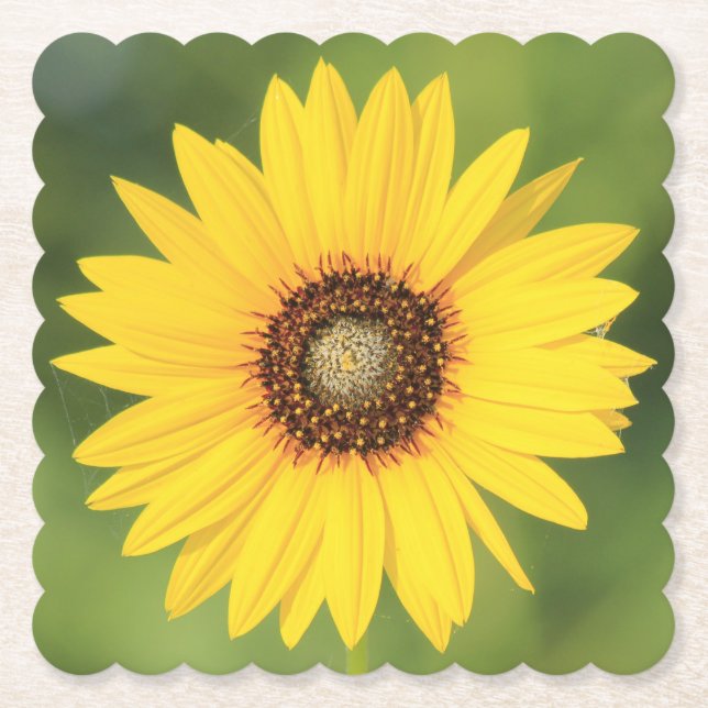 Dessous-de-verre En Papier Dessous de verre de papier tournesol (Devant)