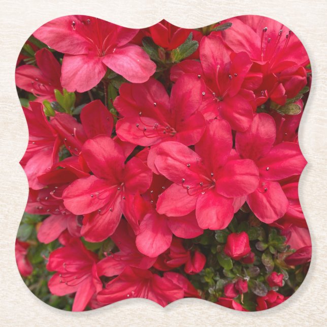 Dessous-de-verre En Papier Dessous de verre Fleur Fraîche (Devant)