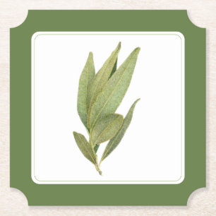 Dessous-de-verre En Papier DESSOUS DE VERRE papier FEUILLE FRESH BAY - texte