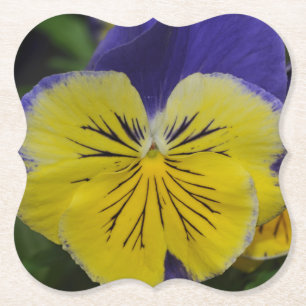 Dessous-de-verre En Papier Fleur de pansement jaune et violet