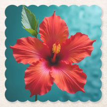 Hibiscus rouge vif en pleine gloire