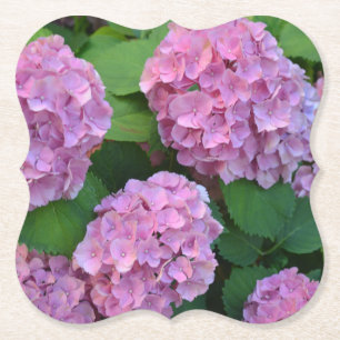 Dessous-de-verre En Papier Hortensia hydrangea Party rose