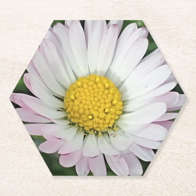 Dessous-de-verre En Papier Jolie marguerite (Devant)