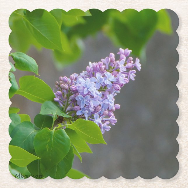 Dessous-de-verre En Papier Lilac Beauty (Devant)