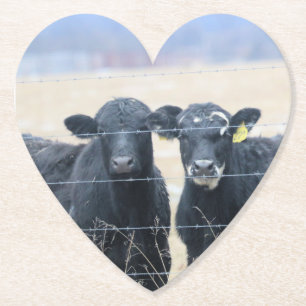 Dessous-de-verre En Papier Observateurs de Bovine