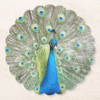 Panache de plumes de paon bleu