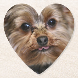 Dessous-de-verre En Papier Pfft !