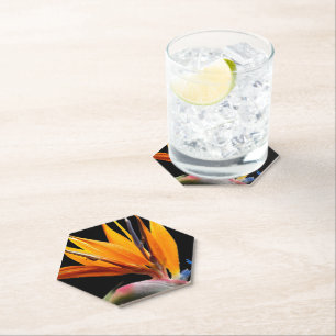 Dessous-de-verre En Papier Plante oiseau de paradis orange sur fond noir
