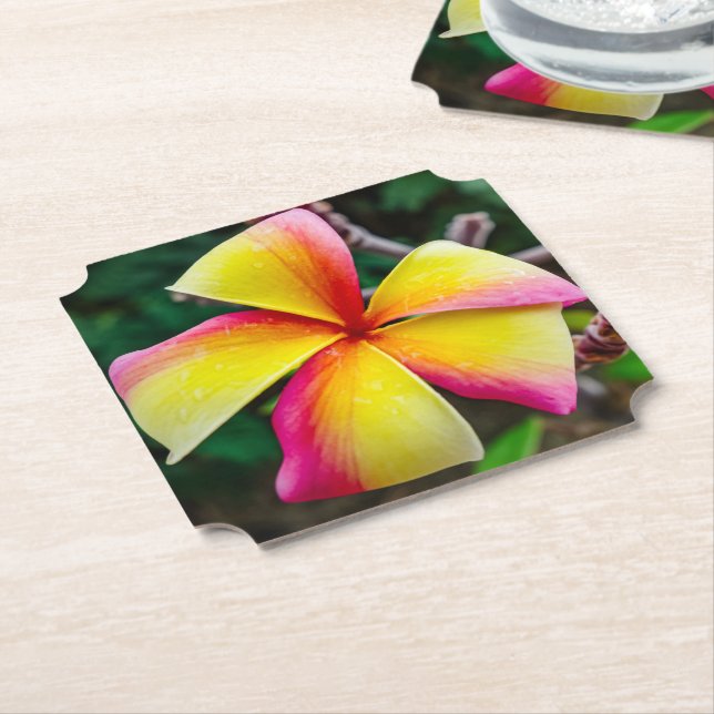Dessous-de-verre En Papier Plumeria rubra (Incliné)