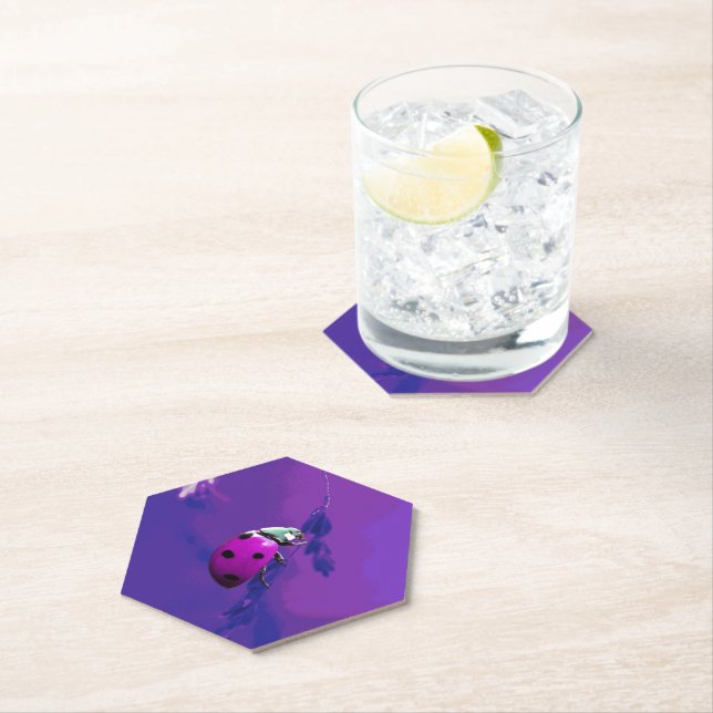 Dessous-de-verre En Papier Poupée Ladybug (En situation)