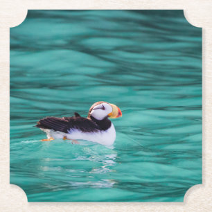 Dessous-de-verre En Papier Puffin Dans La Baie De Résurrection, Alaska
