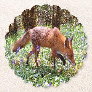 Dessous-de-verre En Papier Renard roux Saisonnière Jacinthe des bois Fleurir