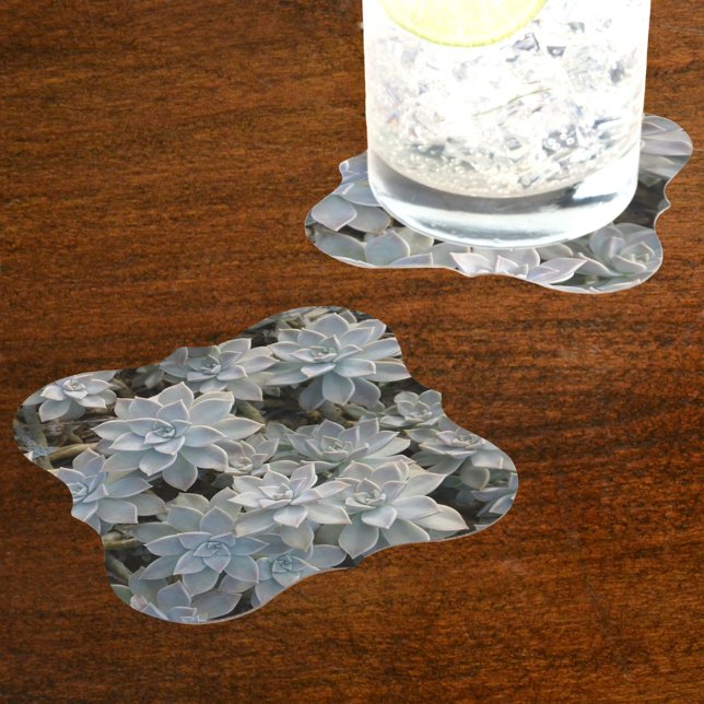Dessous-de-verre En Papier Silvery Blue Succulents (Créateur téléchargé)