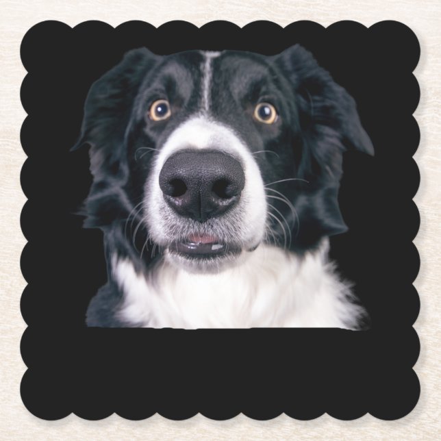 Dessous-de-verre En Papier Visage de chien noir et blanc (Devant)