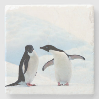 Dessous-de-verre En Pierre Adelie Penguins