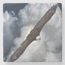 Aigle chauve et ciel nuageux