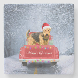 Dessous-de-verre En Pierre Airedale Terrier Chien en Neige assis à Noël