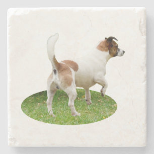 Dessous-de-verre En Pierre "Alerte et prêt : Un Terrier renard Brown et blanc