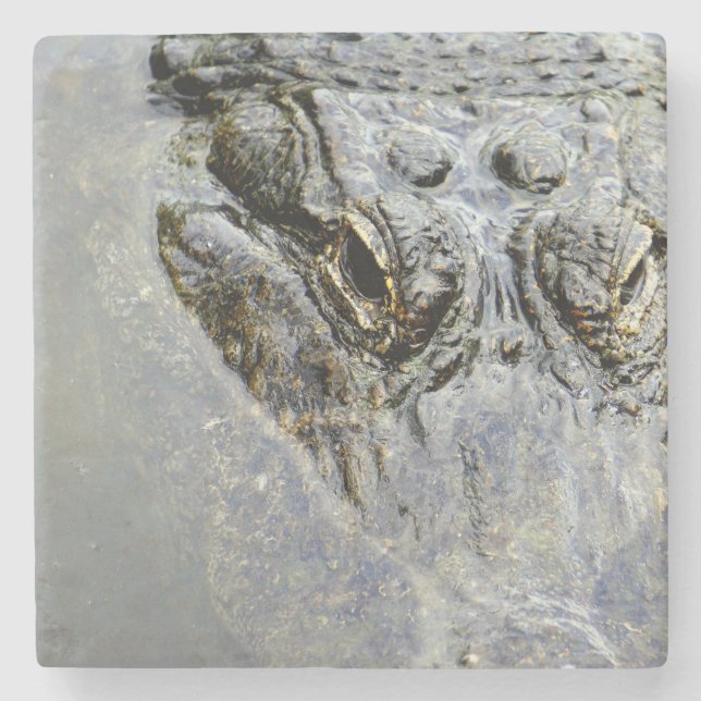 Dessous-de-verre En Pierre Alligator 2 (Devant)