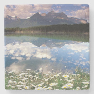 Dessous-de-verre En Pierre Amérique du Nord, Canada, Alberta, Parc national d