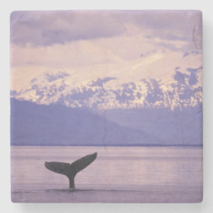 Dessous-de-verre En Pierre Amérique du Nord, États-Unis, Alaska, Passage Inté