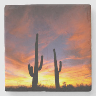 Dessous-de-verre En Pierre Amérique du Nord, États-Unis, Arizona, désert d