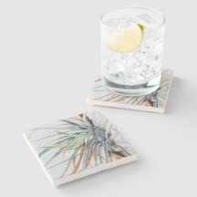 Ananas sauvage | par Mary Vaux Walcott 1921 Poster