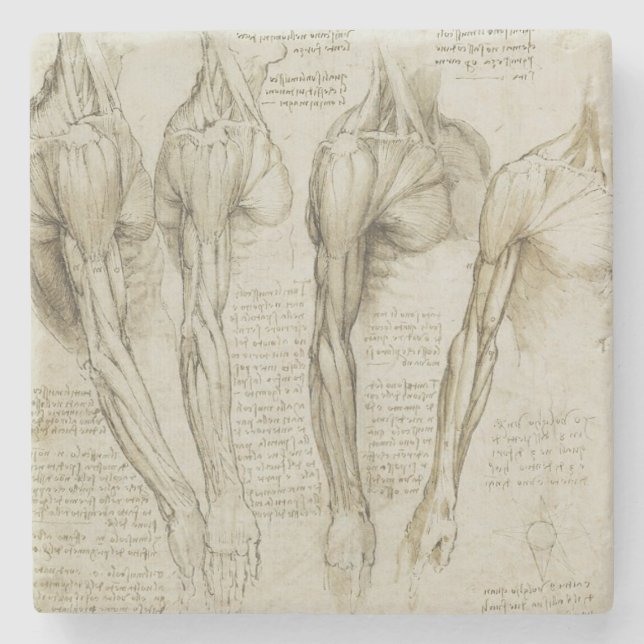 Dessous-de-verre En Pierre Anatomie humaine du bras de da Vinci (Devant)