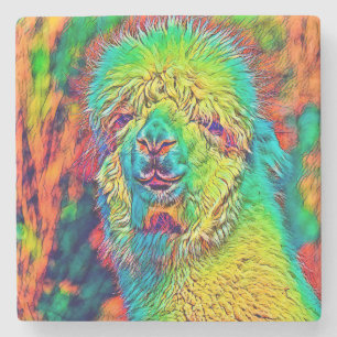 Dessous-de-verre En Pierre AnimalColor_Alpaca_005