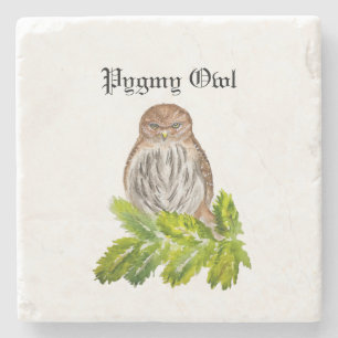 Dessous-de-verre En Pierre Aquarelle Saw Whet Cute Little Owls
