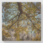 Arbre jaune en automne