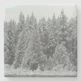 Dessous-de-verre En Pierre Arbres d'hiver