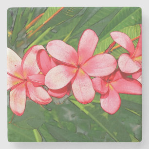 Dessous-de-verre En Pierre Art de Frangipanier Tropical Rose