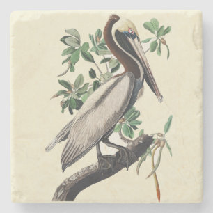 Dessous-de-verre En Pierre Art Vintage Audubon du Pélican Brun, Oiseau des Cô