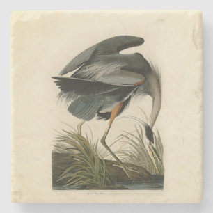 Dessous-de-verre En Pierre Audubon Great Blue Heron Marsh Bird