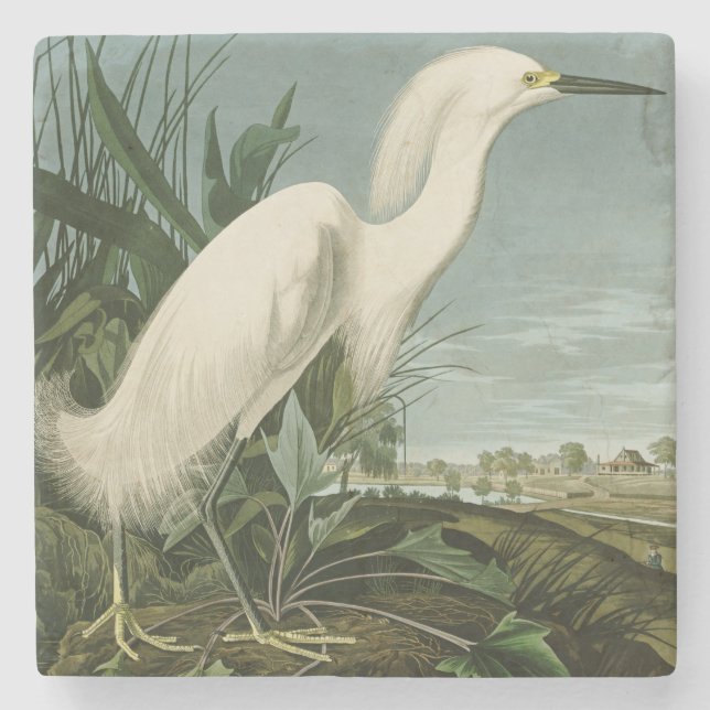 Dessous-de-verre En Pierre Audubon Héron de neige Oiseaux d'aigrettes blanche (Devant)