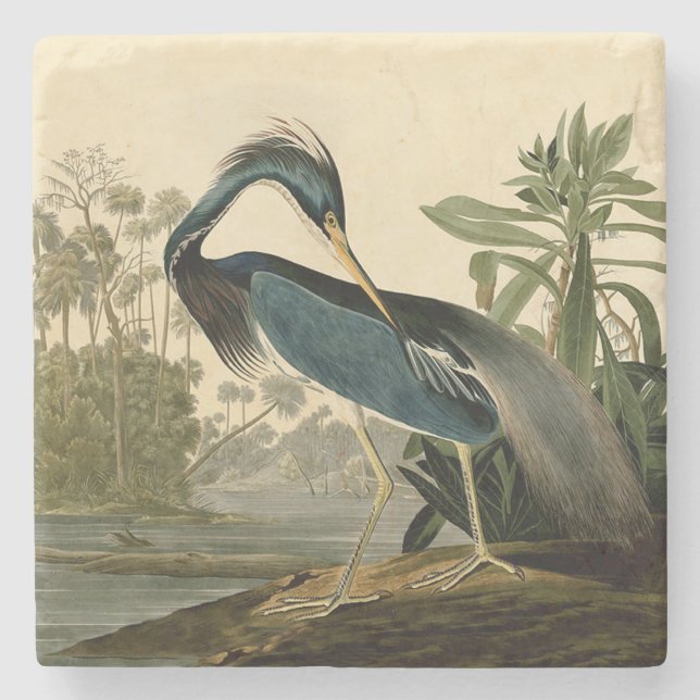 Dessous-de-verre En Pierre Audubon Louisiana Heron Birds America Art (Devant)