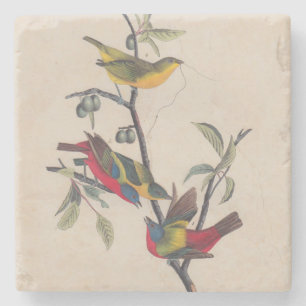 Dessous-de-verre En Pierre Audubon Peint Bunting Bird Wildlife